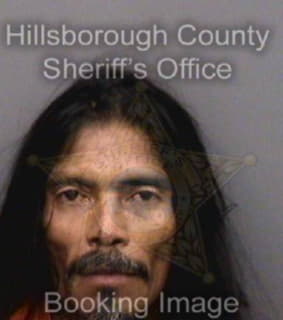 Vasquez Julio - Hillsborough County, Florida 