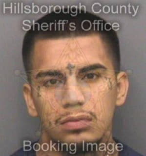 Ledesma Ricky - Hillsborough County, Florida 