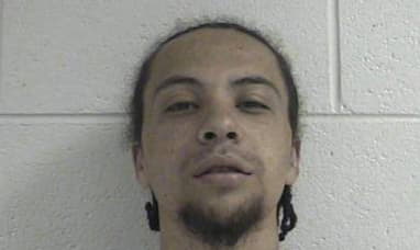 Hollifield Anthony - Washington County, Tennessee 