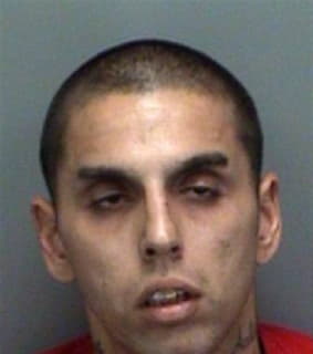 Anastasio Anthony - Pinellas County, Florida 