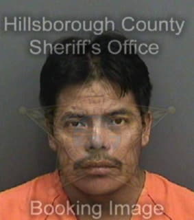 Reynosalopez Noe - Hillsborough County, Florida 