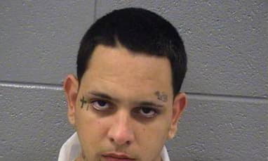 Rodriguez Damian - Cook County, Illinois 