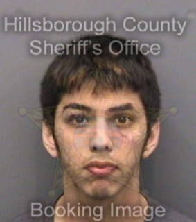 Rodriguez David - Hillsborough County, Florida 