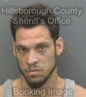 Raulerson James - Hillsborough County, Florida 