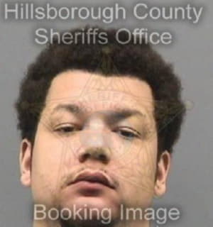 Anderson Scott - Hillsborough County, Florida 