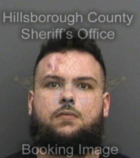 Rodriguez Michael - Hillsborough County, Florida 