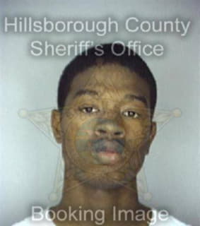 Johnson Dwayne - Hillsborough County, Florida 