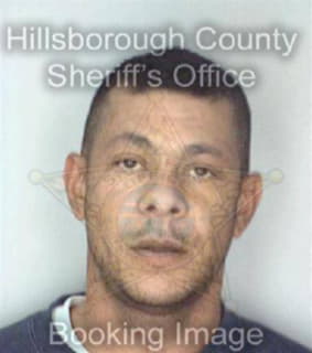 Vega Hector - Hillsborough County, Florida 