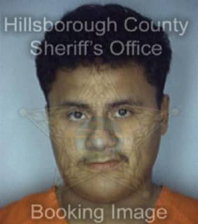 Mejia Isaias - Hillsborough County, Florida 