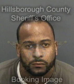 Pesanteandujar Robert - Hillsborough County, Florida 