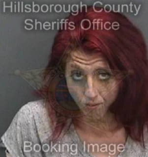 Mcguinness Shylin - Hillsborough County, Florida 