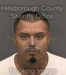 Ortiz Simon - Hillsborough County, Florida 