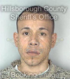 Ortiz Armando - Hillsborough County, Florida 