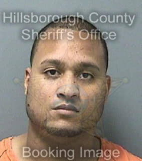 Vargas Jason - Hillsborough County, Florida 