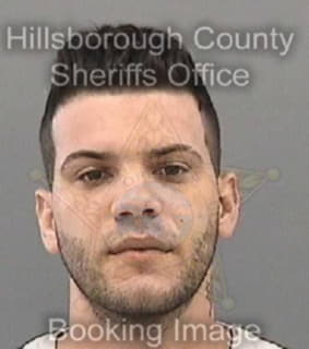 Lopez-Cespedes Jorge - Hillsborough County, Florida 