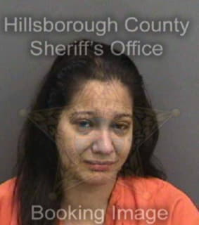 Mendezmartinez Misleidy - Hillsborough County, Florida 