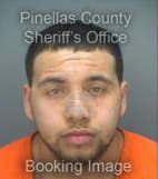 Howard Nathaniel - Pinellas County, Florida 