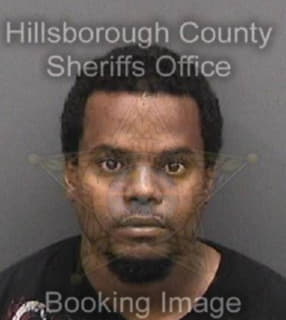 Rodriguezsuarez Sandor - Hillsborough County, Florida 