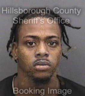 Louissaint Aaron - Hillsborough County, Florida 