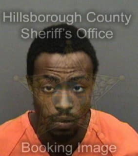 Lee Sampson - Hillsborough County, Florida 