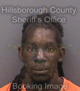 Lewis Toliver - Hillsborough County, Florida 