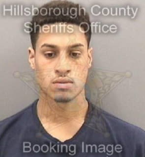 Rivera David - Hillsborough County, Florida 