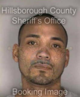 Dejesus Jose - Hillsborough County, Florida 