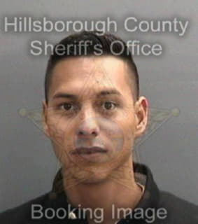 Mendez Jose - Hillsborough County, Florida 