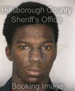 Davis Darrin - Hillsborough County, Florida 