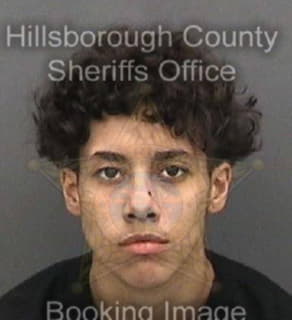 Benitez Marieliz - Hillsborough County, Florida 