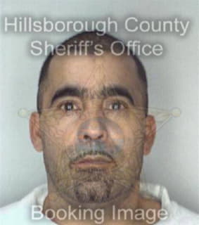 Diaz Vicente - Hillsborough County, Florida 