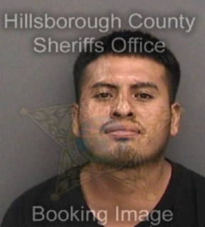 Lopez Arturo - Hillsborough County, Florida 