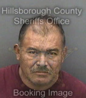 Ortizgarcia Gustavo - Hillsborough County, Florida 