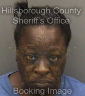 Camille Islande - Hillsborough County, Florida 