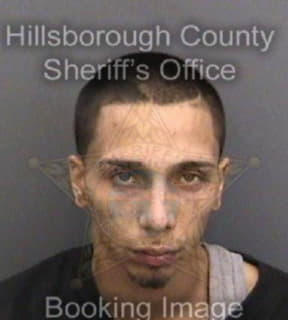 Dejesus Michael - Hillsborough County, Florida 