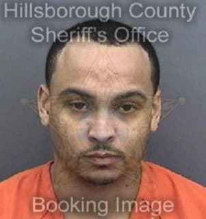 Dennis Robertino - Hillsborough County, Florida 