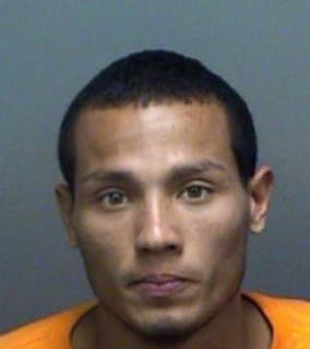 Montalvo Javier - Pinellas County, Florida 