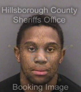 Mcdonald Sheldon - Hillsborough County, Florida 