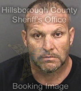 Mcguire Michael - Hillsborough County, Florida 