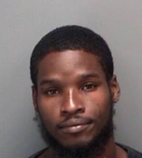 Brinson Renard - Pinellas County, Florida 