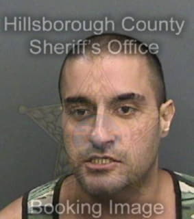 Payrow Babak - Hillsborough County, Florida 