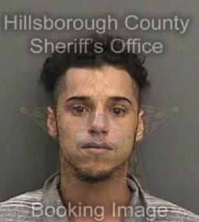 Rijos David - Hillsborough County, Florida 