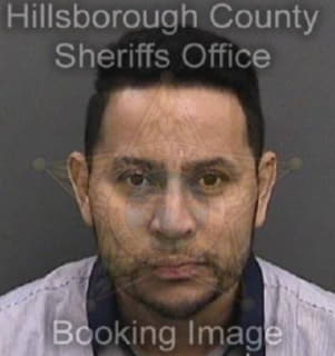 Ponce Rafael - Hillsborough County, Florida 