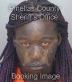 BR Brianna - Pinellas County, Florida 