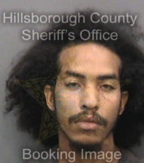 Delgado Carlos - Hillsborough County, Florida 