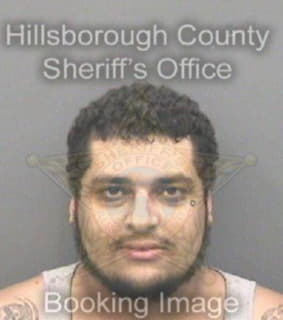 Charbonier Daniel - Hillsborough County, Florida 