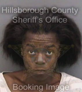 Ford Jamie - Hillsborough County, Florida 