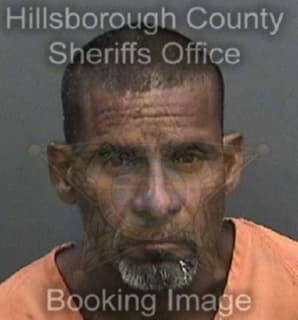 Dejesus Jesus - Hillsborough County, Florida 