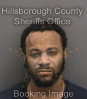 Anderson Raytarquian - Hillsborough County, Florida 