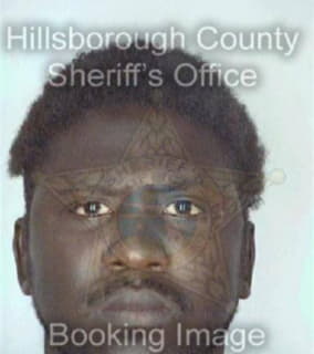 Williams Robert - Hillsborough County, Florida 